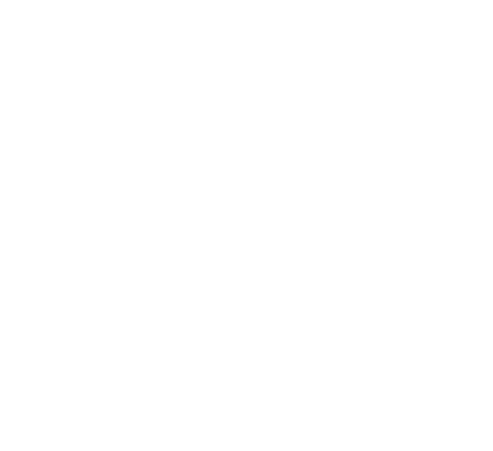 The Ritz Skin Clinic emblem